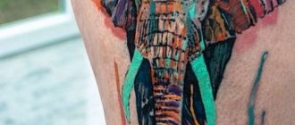 120 Tatouages par les meilleurs maîtres tatoueurs du monde