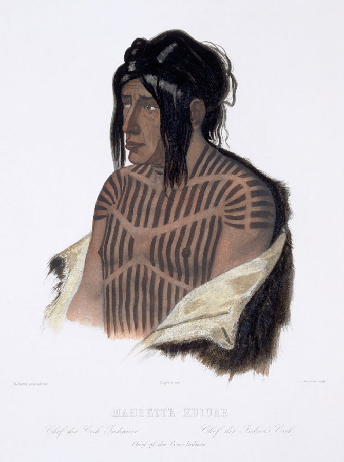 Artista - Karl Bodmer