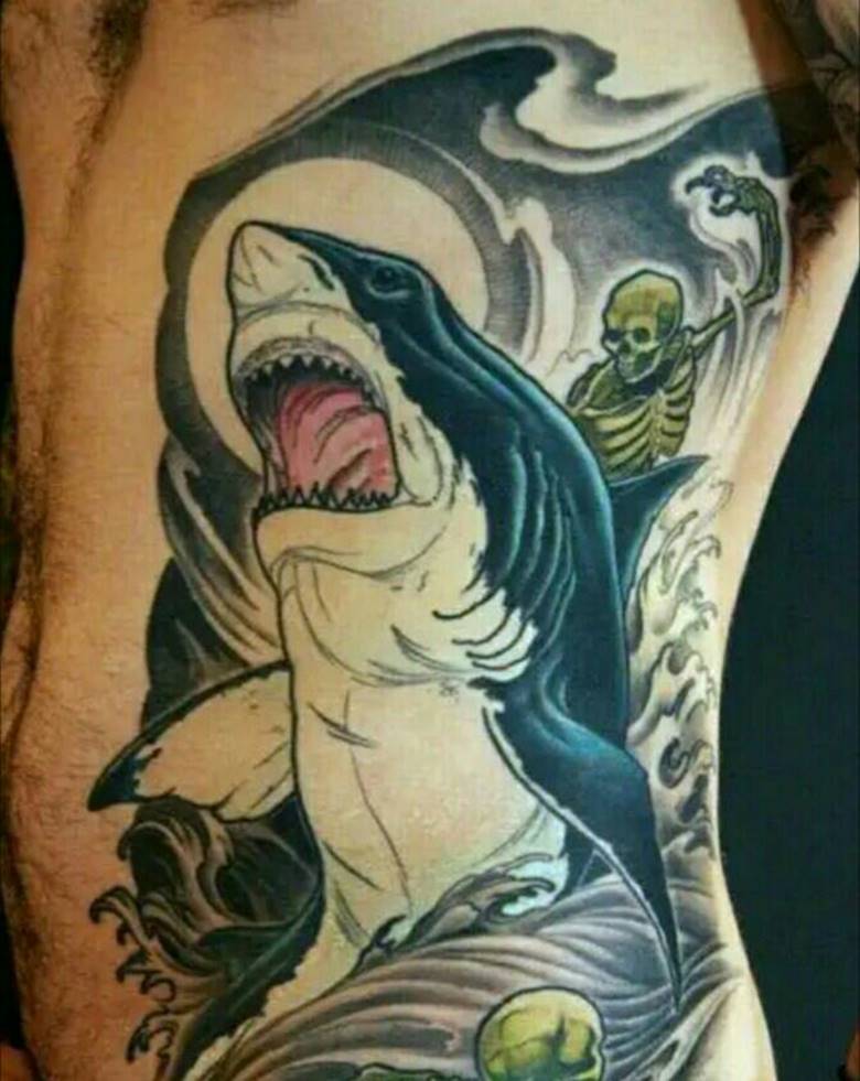 Requin avec squelettes