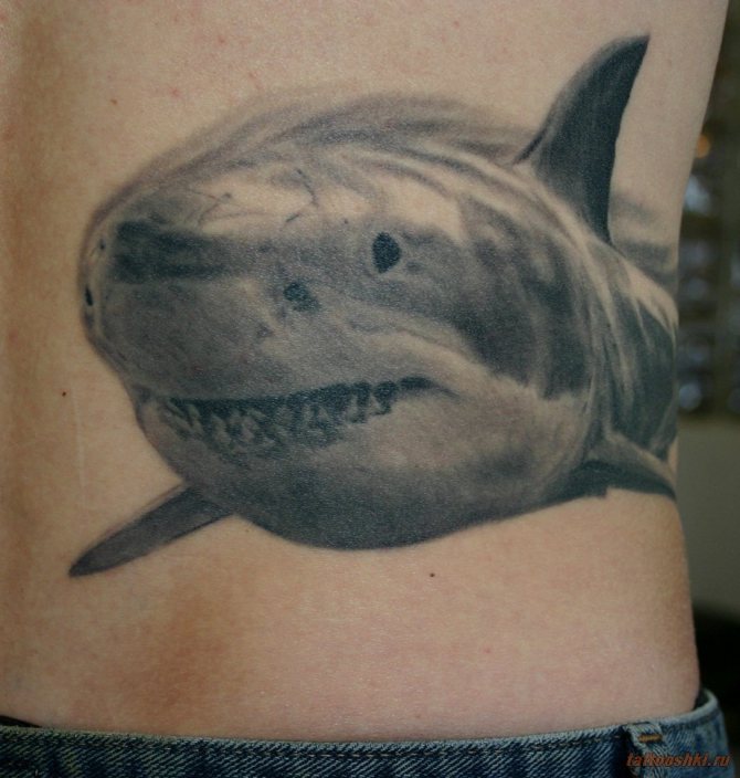 Un tatouage de requin peut être peint sur le corps d'un corrompu ou d'un contrebandier.