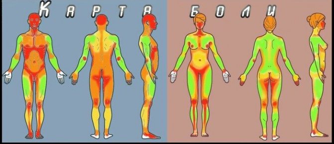 Anesteesia enne tätoveerimist. Tätoveerimise ettevalmistamine ja protsess, foto