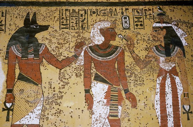 anubis dieu de la mort