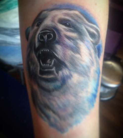 Ours blanc avec des tons bleus