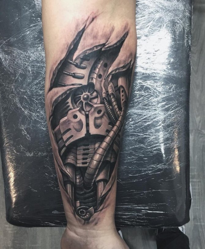 Biomechanika předloktí