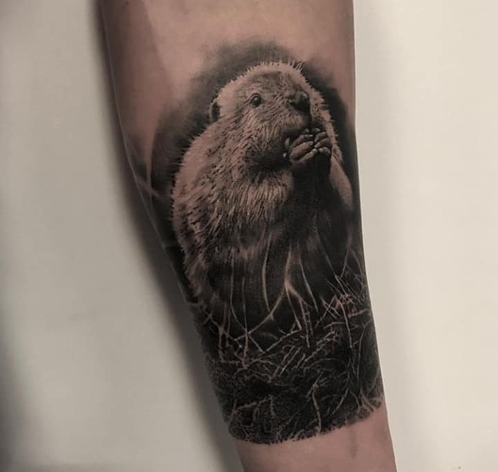 τατουάζ κάστορα bb