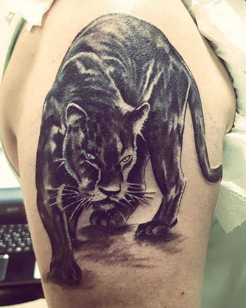 Tatuaje de animal grande