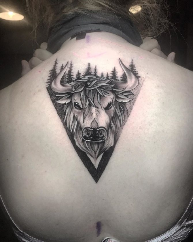 σκίτσο ταύρου