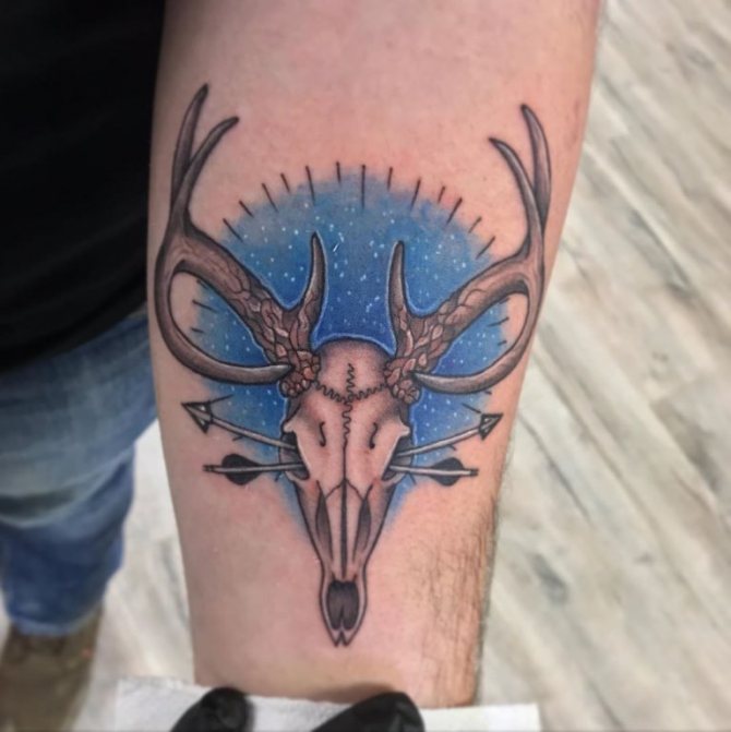 череп на елен с рога