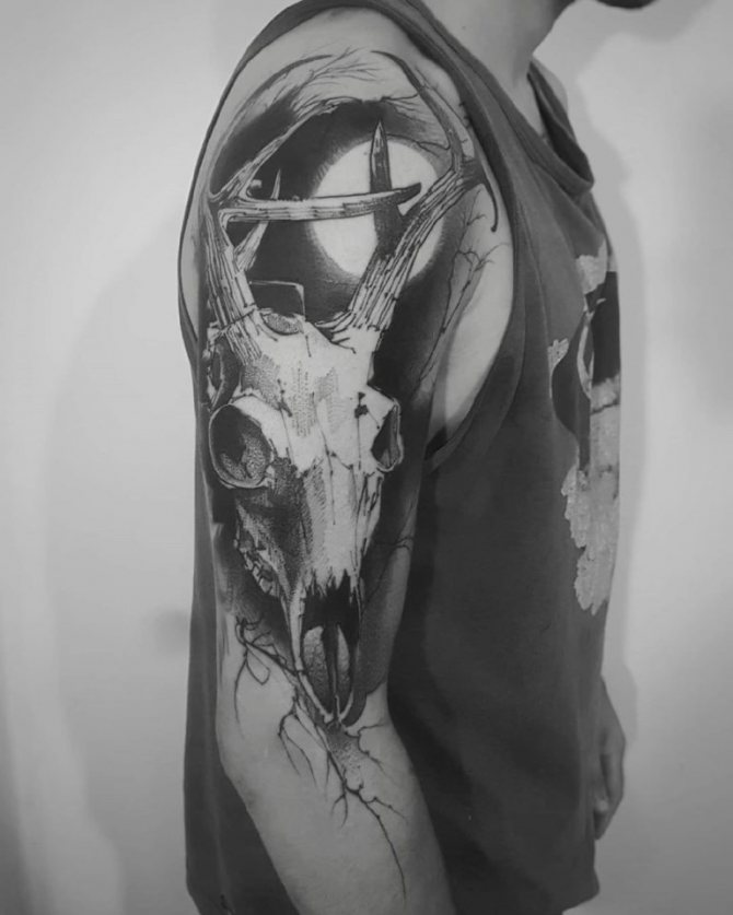 череп на елен