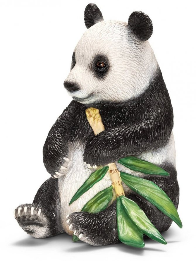 Turtle for protection and a giraffe for success: figurines' symbolism