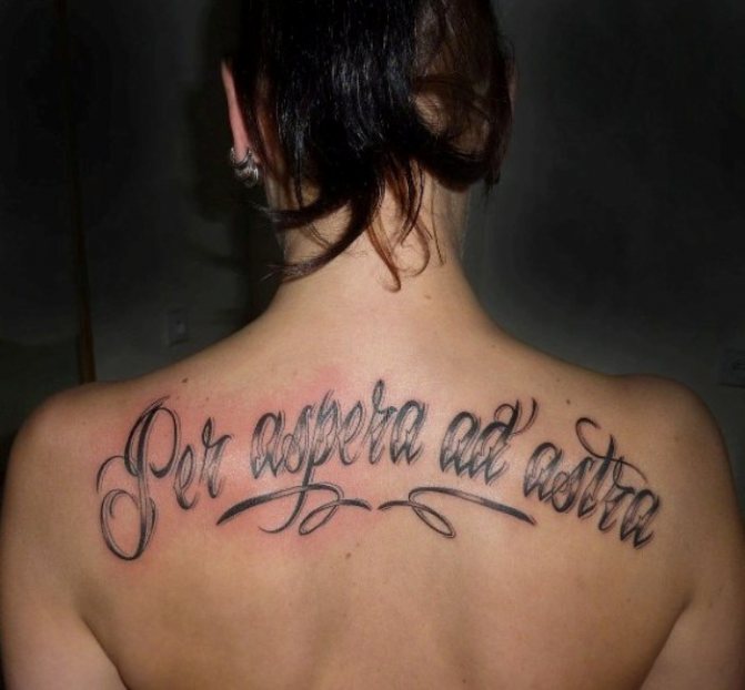 skrze trní ke hvězdám význam výrazu