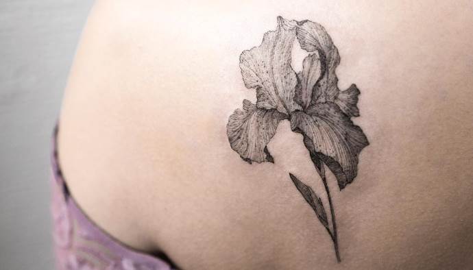 Fekete-fehér írisz