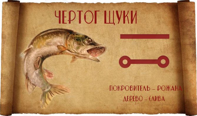 Segugio infernale di un luccio