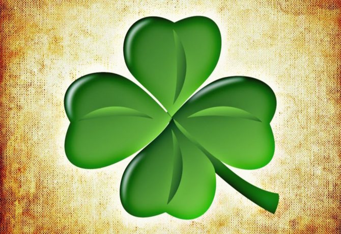 Trèfle à quatre feuilles