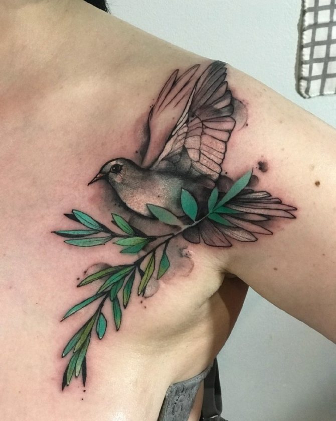 ce que signifie un pigeon