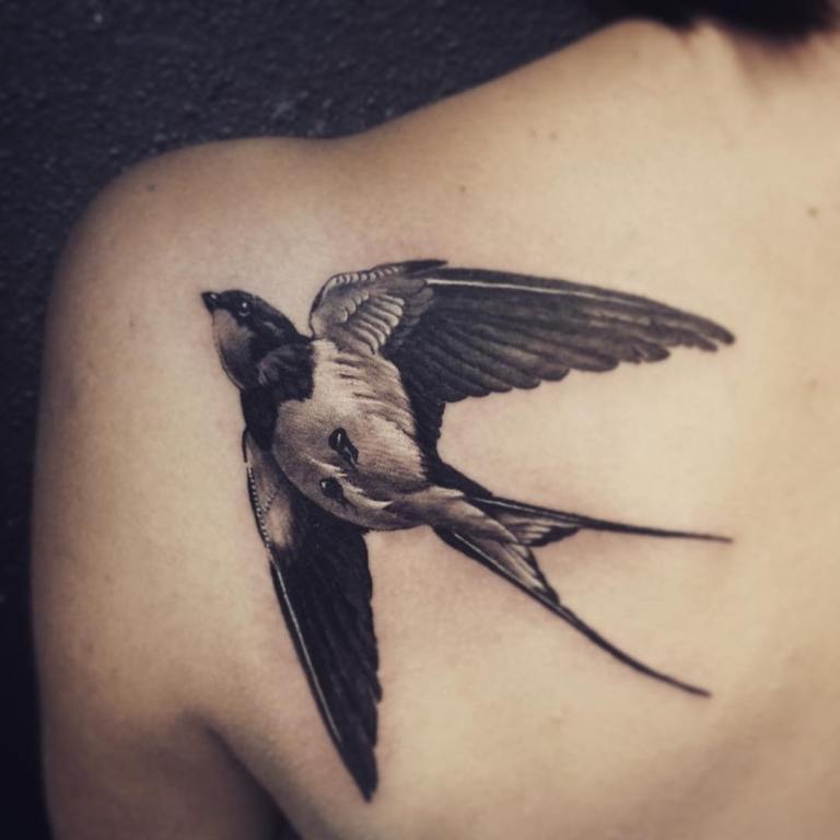 ¿Qué significa la golondrina?