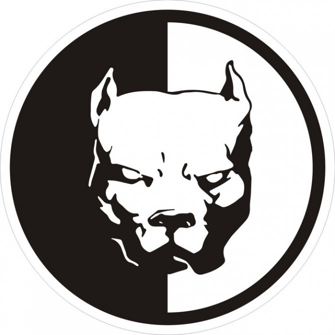 Que signifie l'autocollant pitbull sur la voiture, sur la vitre arrière de la voiture ? Autocollant, pitbull.