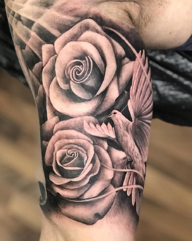 que signifie le tatouage d'une colombe