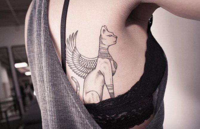 que signifie le tatouage du chat