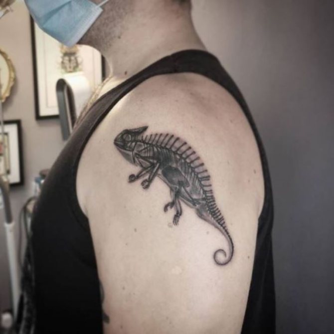 Τι σημαίνει σαύρα ως σύμβολο