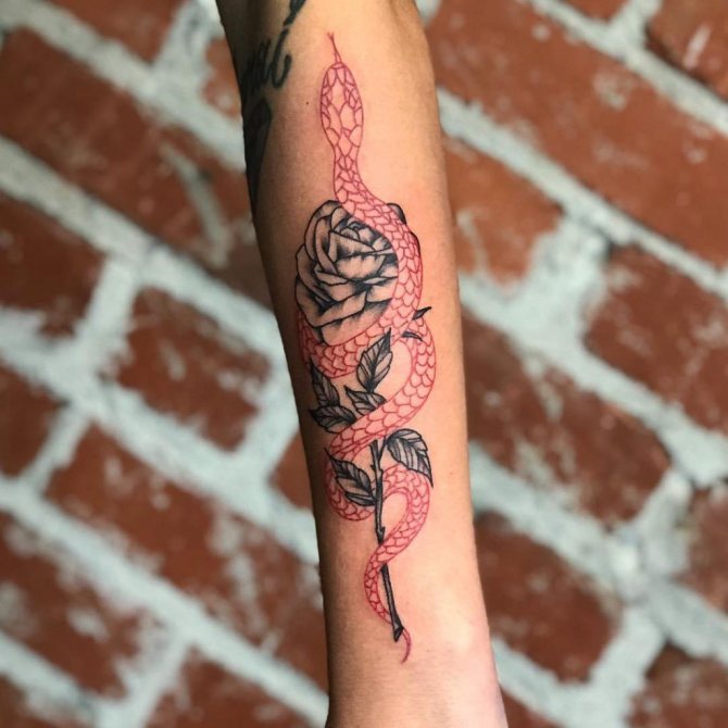 mit jelent a kígyó