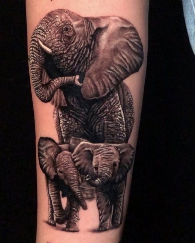 significado de elefante