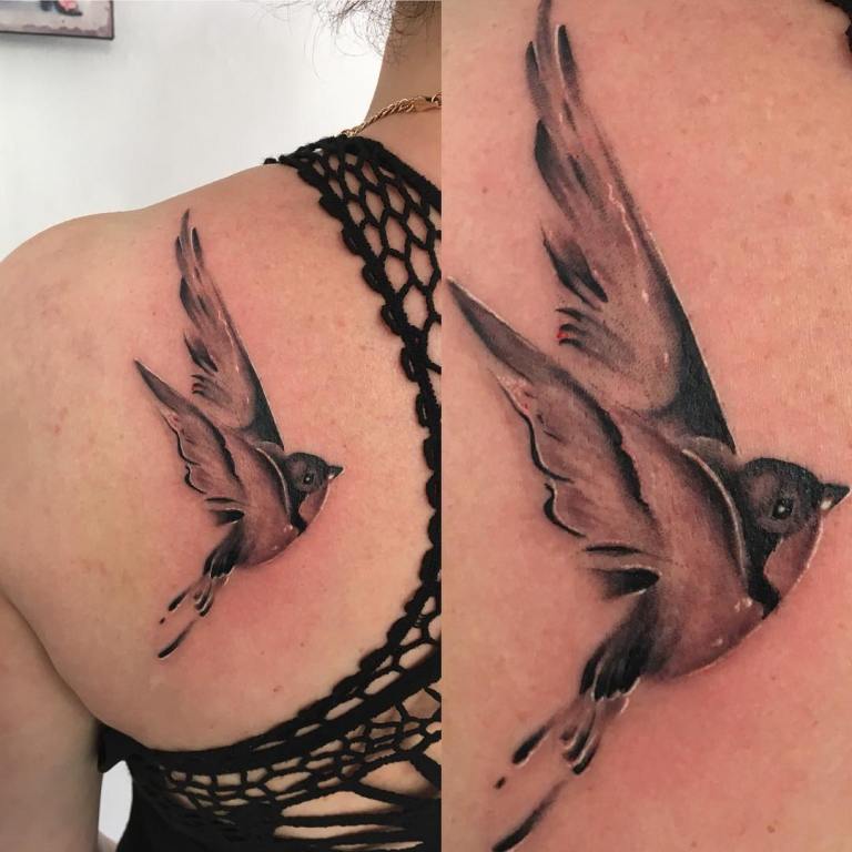 qué significa la golondrina