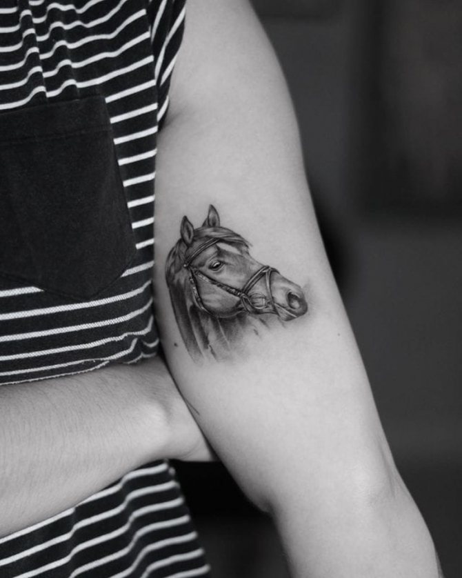 que signifie le tatouage du cheval