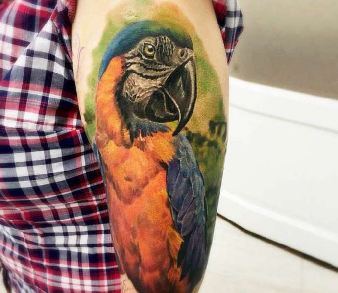 Oiseau coloré à la main