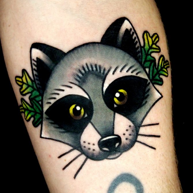 Farbige Tätowierung eines Waschbären
