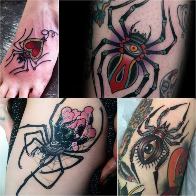 Fleurs avec araignée