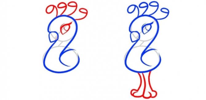 Dessinez la crête, les yeux et les pieds