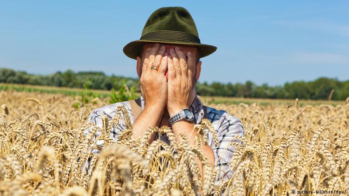 Leisure time: German Dictionary: How do they joke in Germany?