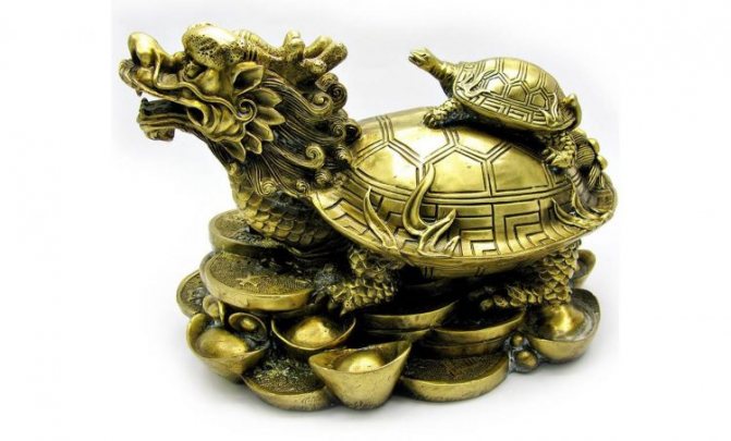 Dragon turtle