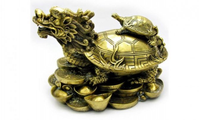Dragon turtle