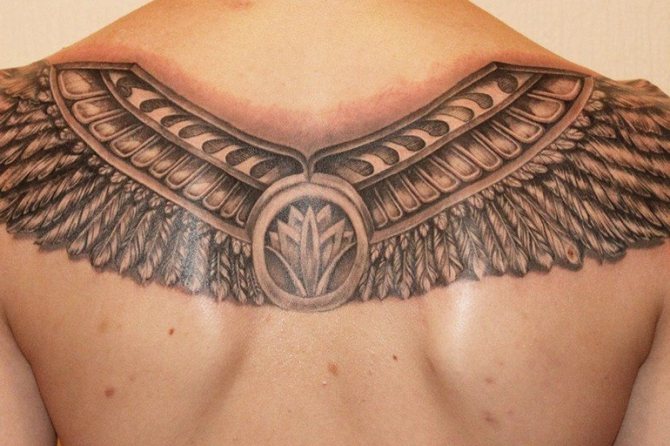 Egyptiläinen kuningasleija