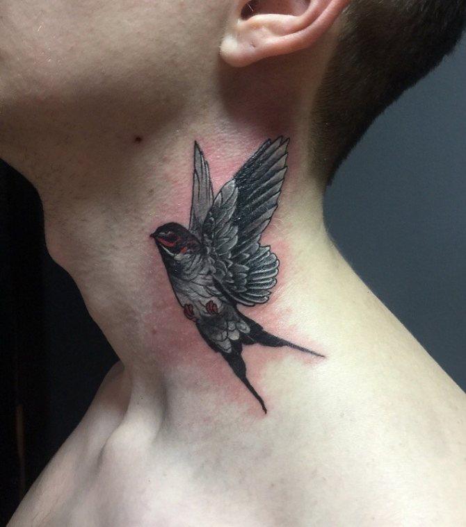 Exotic Hummingbird Tattoo (Körperstellen)