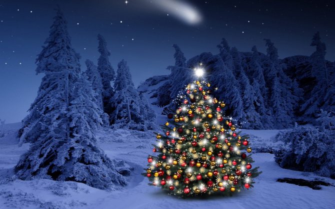 Nytårstræ til det nye år 2021