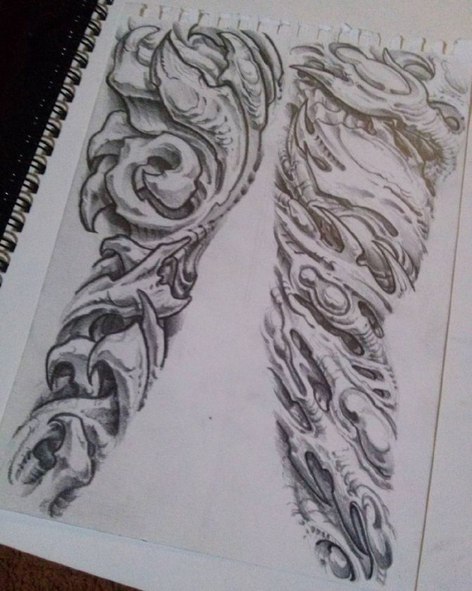 Biomechanický náčrt