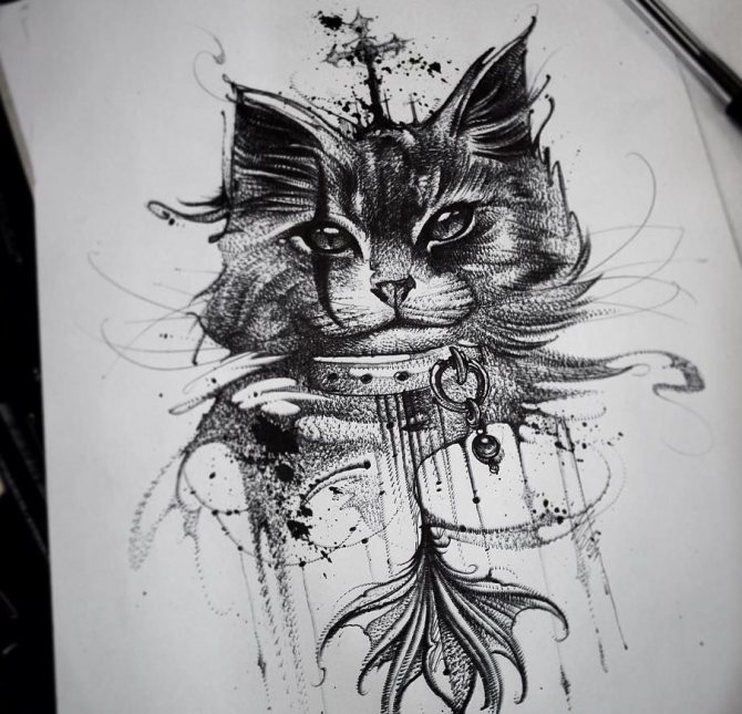 Croquis d'un chat noir et blanc