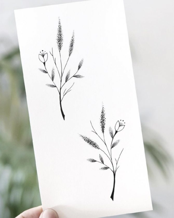 Croquis de fleurs sur les côtes