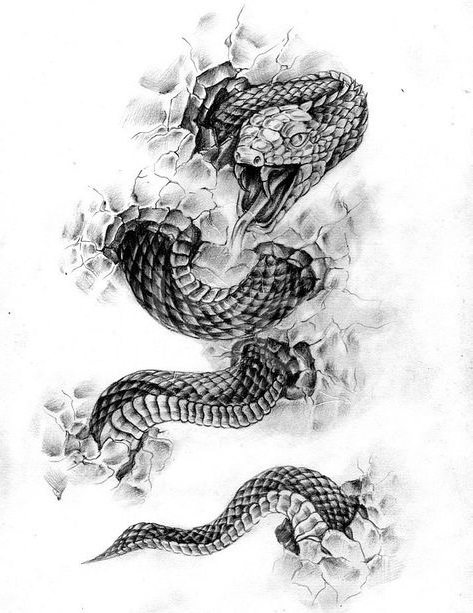 Sketch for a tattoo for ladies not timid