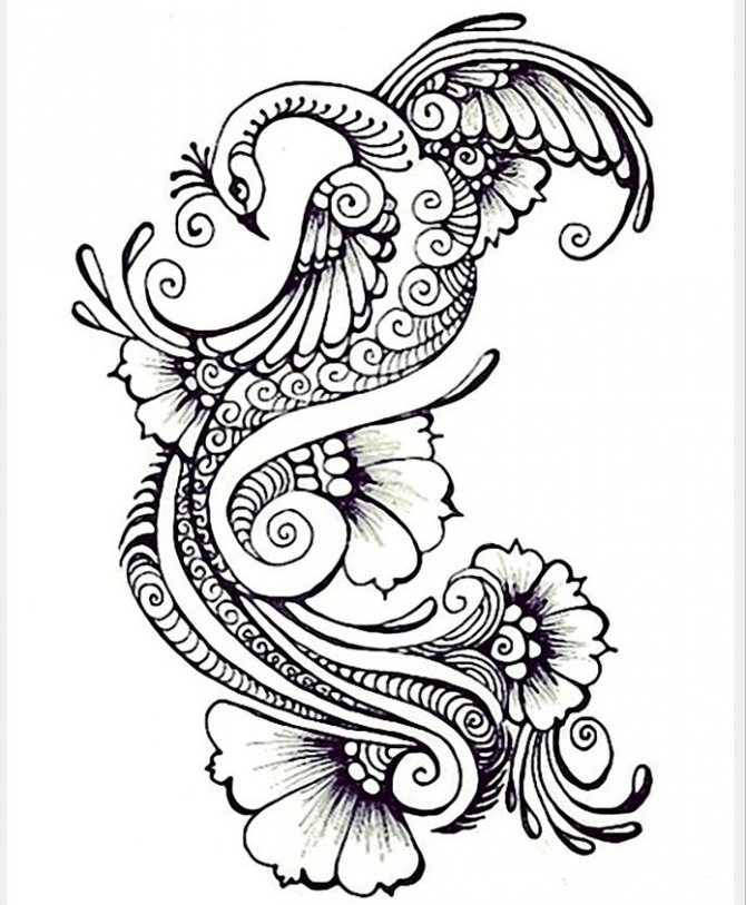 Sketch for a peacock tattoo