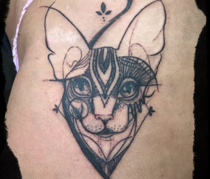 Luonnos Cat Tattoo