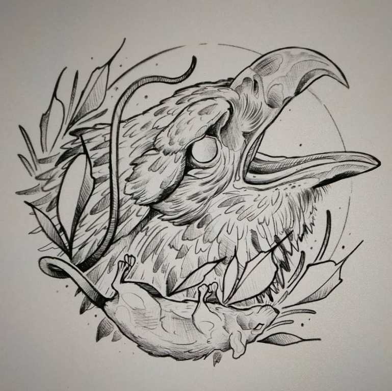 Skica hlavy orla s myší