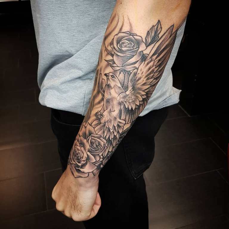 croquis d'une colombe