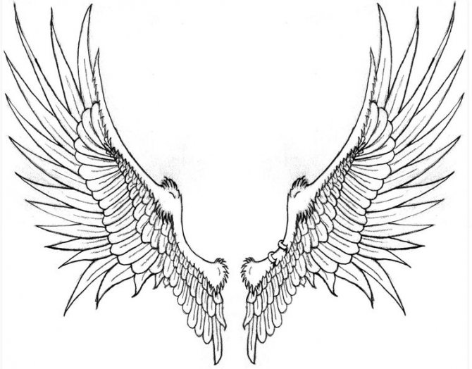 sketch wings