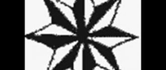 tatuointi luonnos 21