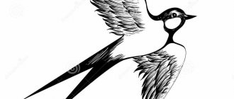 Tatuaje de una golondrina en vuelo