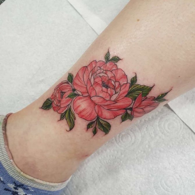 bazsarózsa tetoválás vázlat